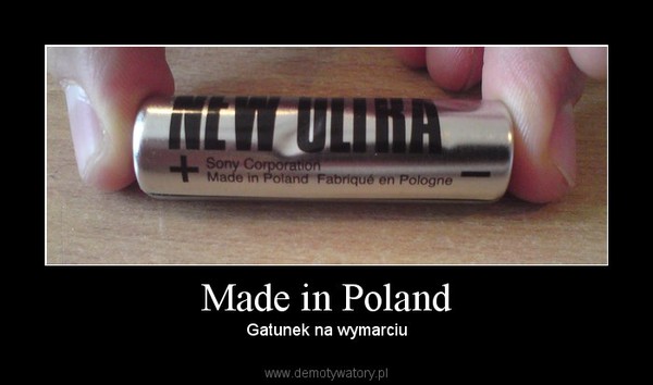 Made in Poland – Gatunek na wymarciu 