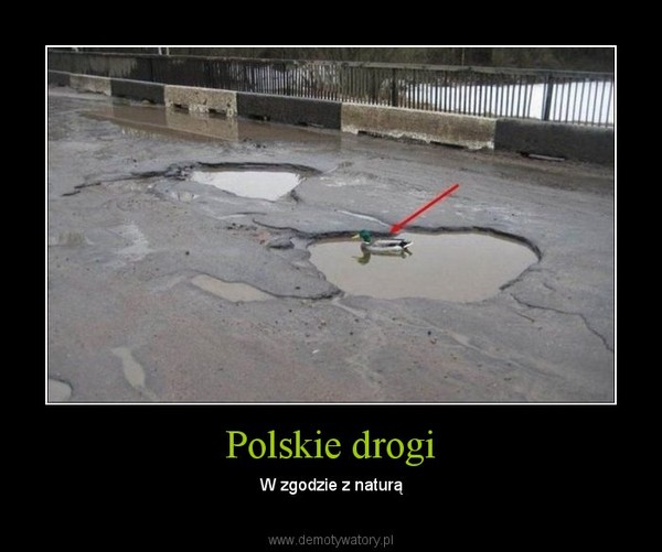 Polskie drogi – W zgodzie z naturą 