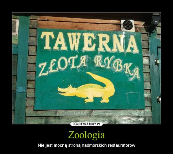 Zoologia