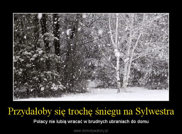 Przydałoby się trochę śniegu na Sylwestra – Polacy nie lubią wracać w brudnych ubraniach do domu 
