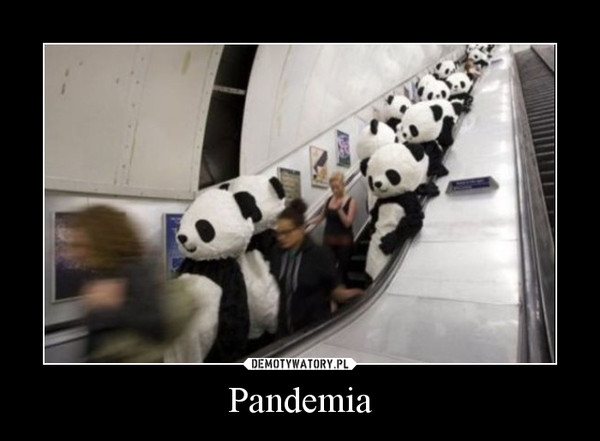 Pandemia –  