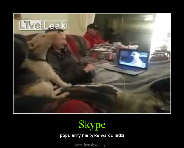 Skype – popularny nie tylko wśród ludzi 