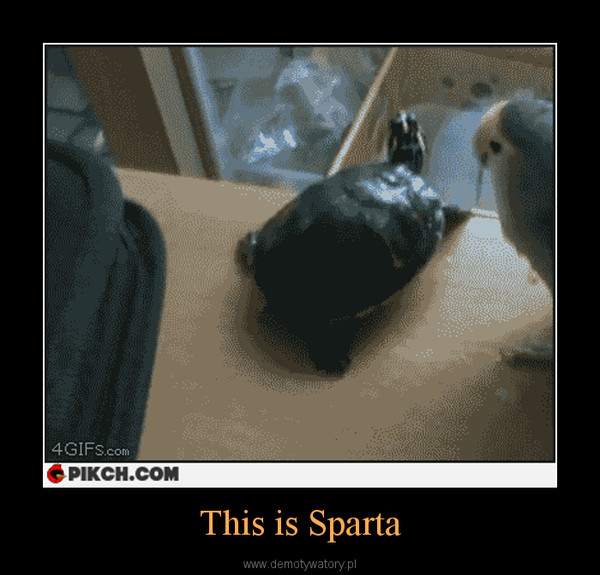 This is Sparta –  