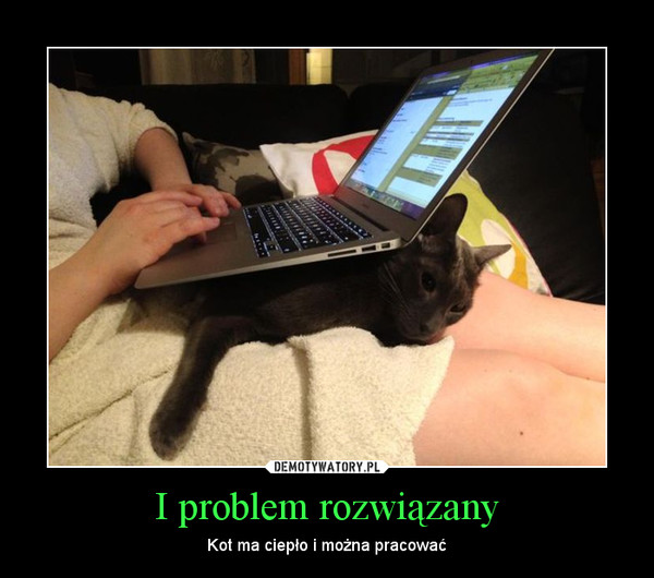 I problem rozwiązany – Kot ma ciepło i można pracować 