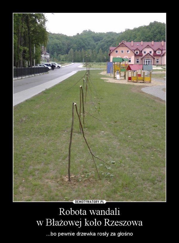 Robota wandaliw Błażowej koło Rzeszowa – ...bo pewnie drzewka rosły za głośno 