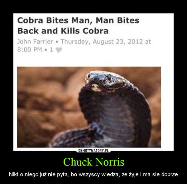 Chuck Norris – Nikt o niego już nie pyta, bo wszyscy wiedzą, że żyje i ma sie dobrze 