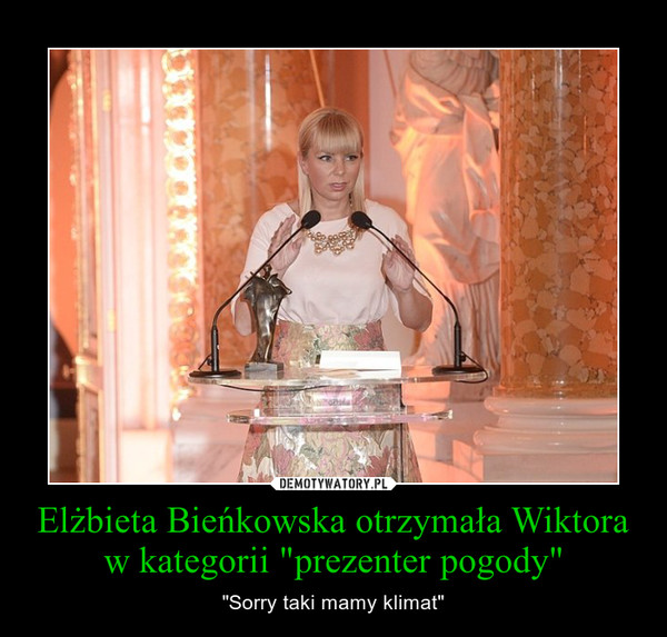 Elżbieta Bieńkowska otrzymała Wiktora w kategorii "prezenter pogody" – "Sorry taki mamy klimat" 