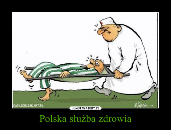 Polska służba zdrowia –  