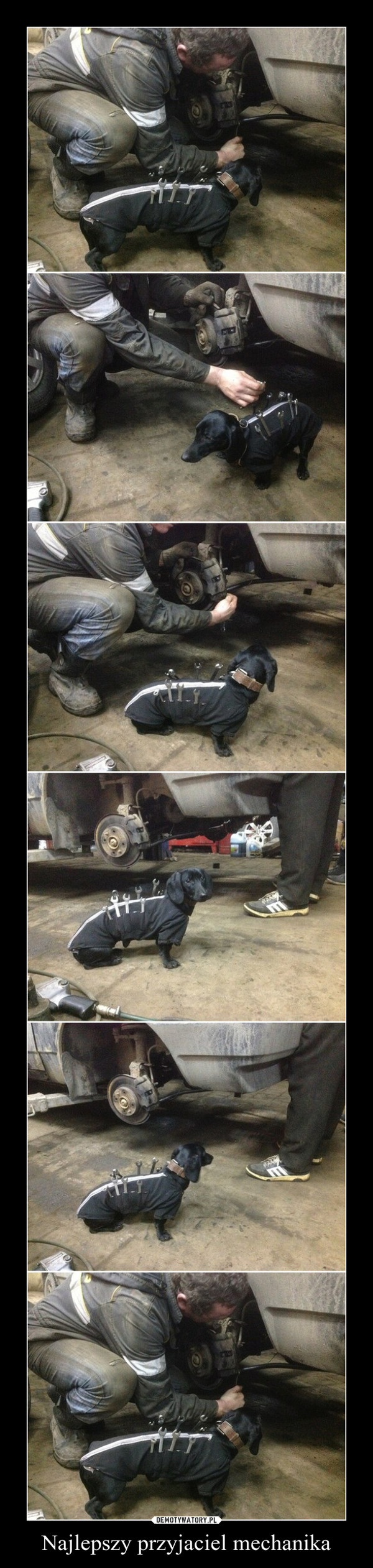 Najlepszy przyjaciel mechanika –  