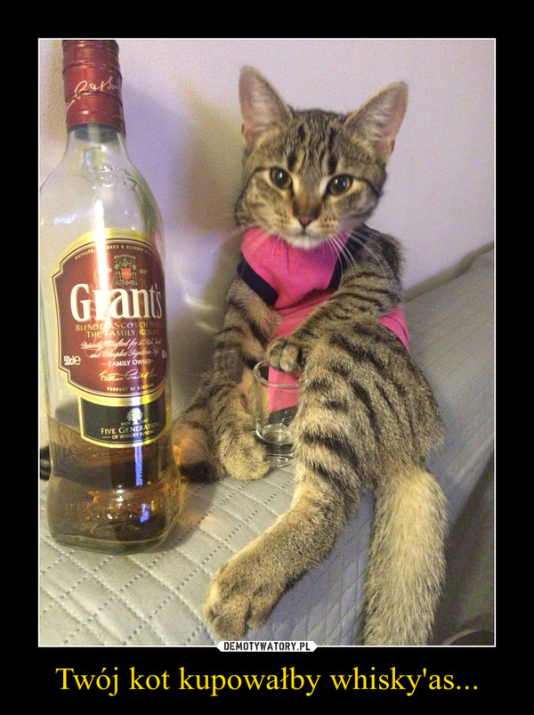 Twój kot kupowałby whisky'as... –  