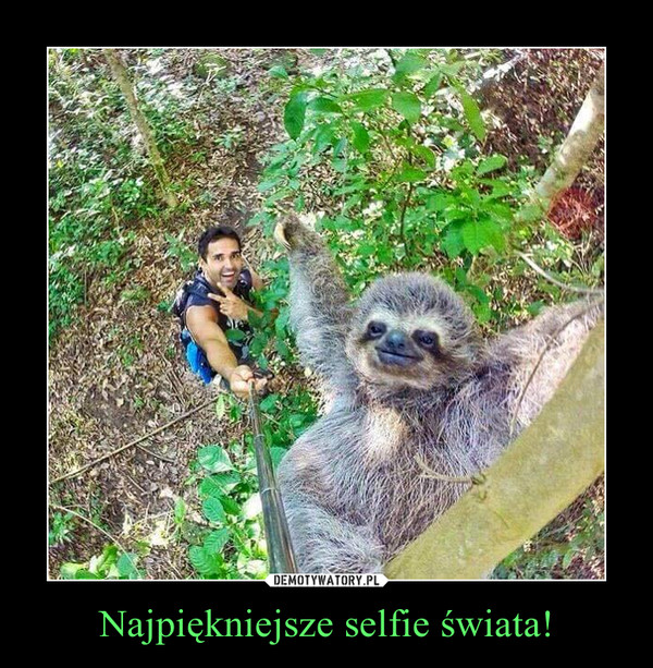 Najpiękniejsze selfie świata! –  