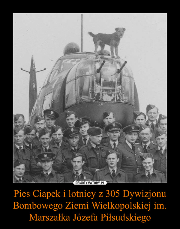 Pies Ciapek i lotnicy z 305 Dywizjonu Bombowego Ziemi Wielkopolskiej im. Marszałka Józefa Piłsudskiego –  