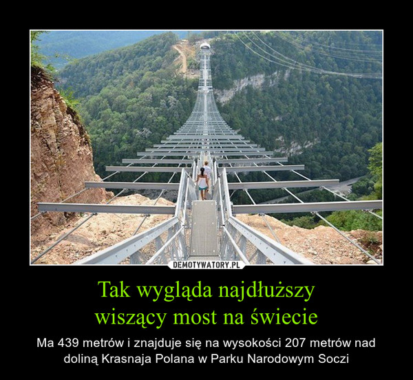 Tak wygląda najdłuższywiszący most na świecie – Ma 439 metrów i znajduje się na wysokości 207 metrów nad doliną Krasnaja Polana w Parku Narodowym Soczi 