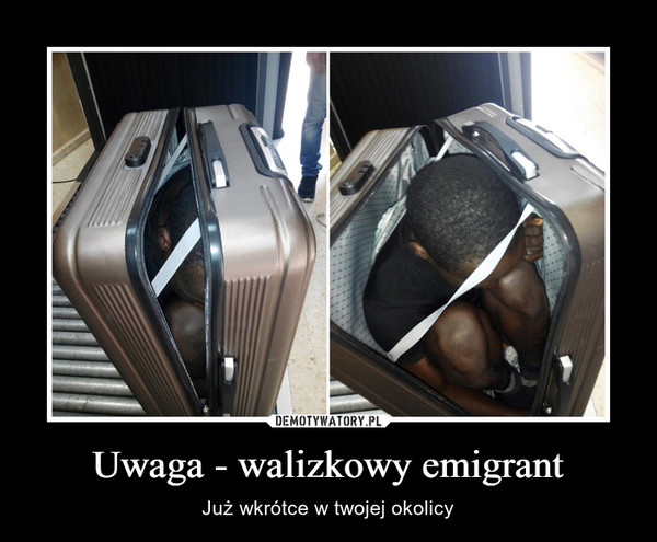 Uwaga - walizkowy emigrant – Już wkrótce w twojej okolicy 