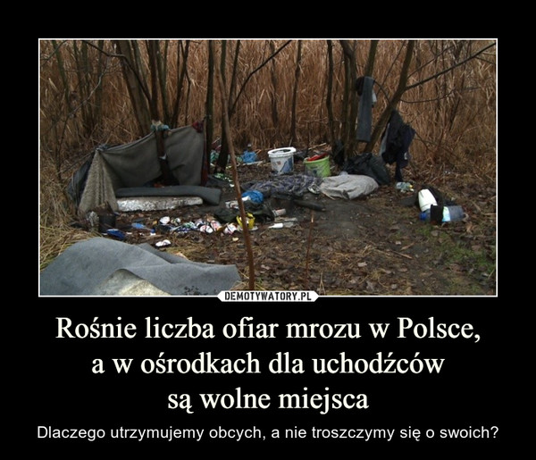 Rośnie liczba ofiar mrozu w Polsce, a w ośrodkach dla uchodźców są wolne miejsca – Dlaczego utrzymujemy obcych, a nie troszczymy się o swoich? 