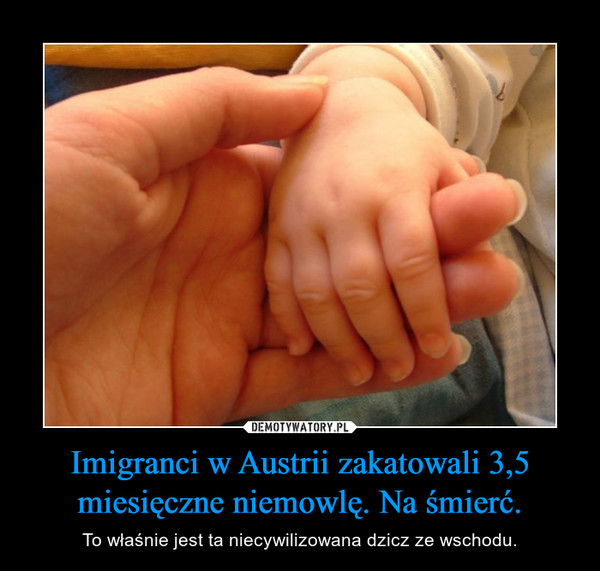 Imigranci w Austrii zakatowali 3,5 miesięczne niemowlę. Na śmierć. – To właśnie jest ta niecywilizowana dzicz ze wschodu. 