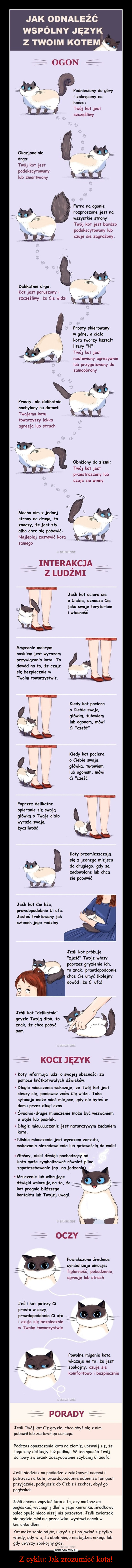 Z cyklu: Jak zrozumieć kota! –  