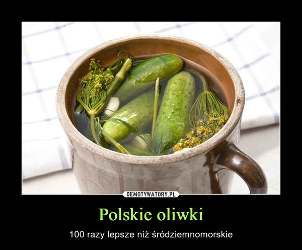 Polskie oliwki – 100 razy lepsze niż śródziemnomorskie 
