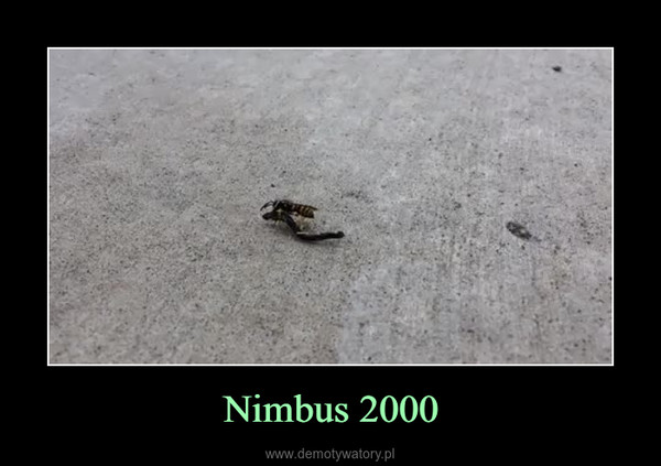 Nimbus 2000 –  