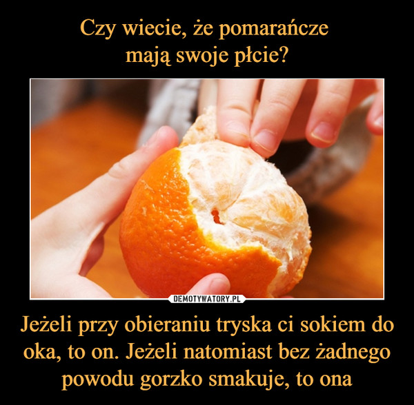 Czy wiecie, że pomarańcze 
mają swoje płcie? Jeżeli przy obieraniu tryska ci sokiem do oka, to on. Jeżeli natomiast bez żadnego powodu gorzko smakuje, to ona