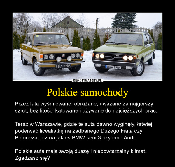 Polskie samochody