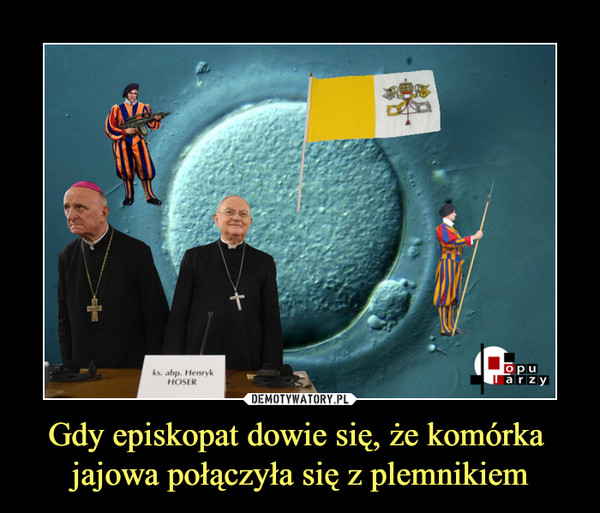 Gdy episkopat dowie się, że komórka jajowa połączyła się z plemnikiem –  