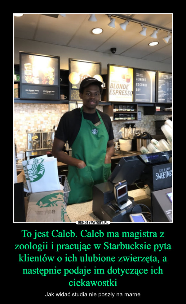 To jest Caleb. Caleb ma magistra z zoologii i pracując w Starbucksie pyta klientów o ich ulubione zwierzęta, a następnie podaje im dotyczące ich ciekawostki