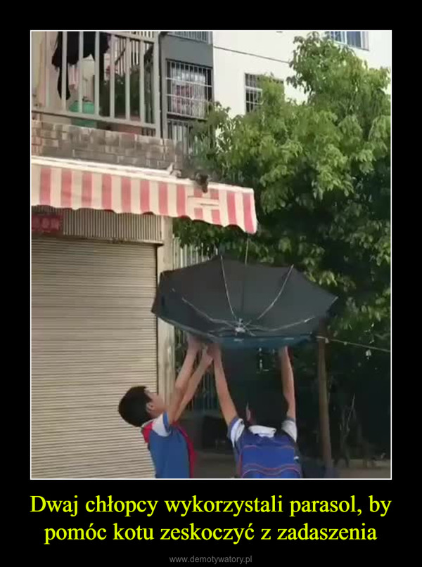 Dwaj chłopcy wykorzystali parasol, by pomóc kotu zeskoczyć z zadaszenia –  