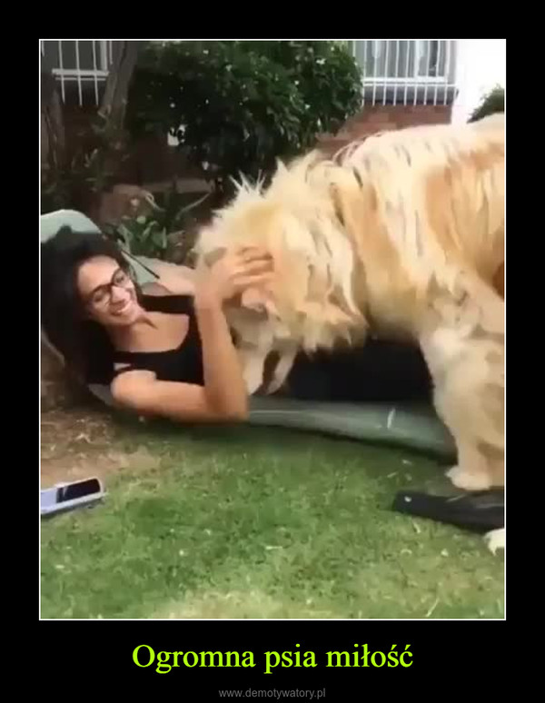 Ogromna psia miłość –  