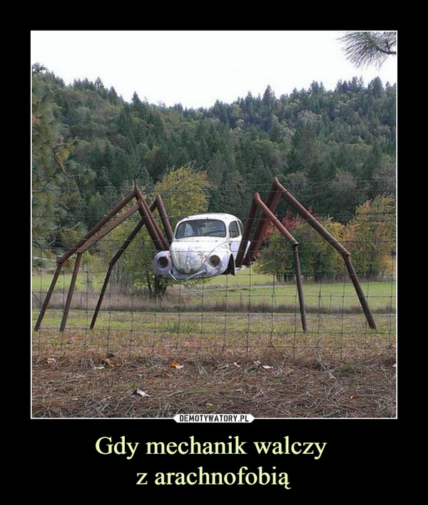 Gdy mechanik walczy 
z arachnofobią