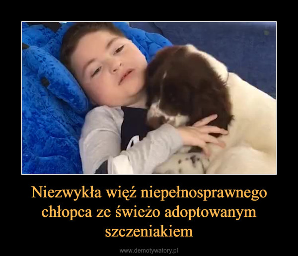 Niezwykła więź niepełnosprawnego chłopca ze świeżo adoptowanym szczeniakiem –  