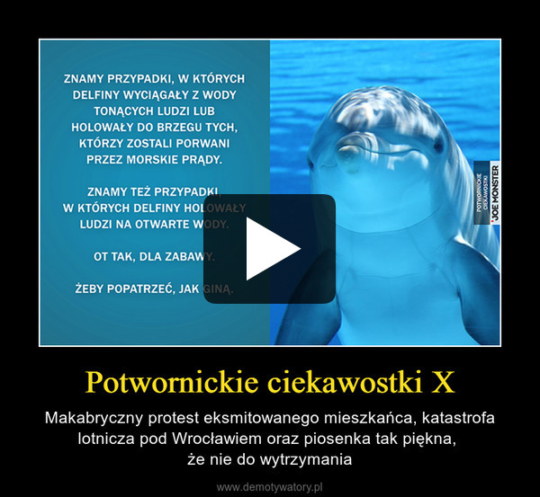 Potwornickie ciekawostki X – Makabryczny protest eksmitowanego mieszkańca, katastrofa lotnicza pod Wrocławiem oraz piosenka tak piękna, że nie do wytrzymania 