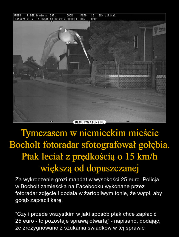Tymczasem w niemieckim mieście Bocholt fotoradar sfotografował gołębia. Ptak leciał z prędkością o 15 km/h większą od dopuszczanej – Za wykroczenie grozi mandat w wysokości 25 euro. Policja w Bocholt zamieściła na Facebooku wykonane przez fotoradar zdjęcie i dodała w żartobliwym tonie, że wątpi, aby gołąb zapłacił karę."Czy i przede wszystkim w jaki sposób ptak chce zapłacić 25 euro - to pozostaje sprawą otwartą" - napisano, dodając, że zrezygnowano z szukania świadków w tej sprawie 