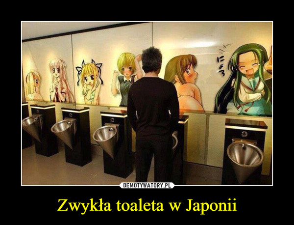 Zwykła toaleta w Japonii –  