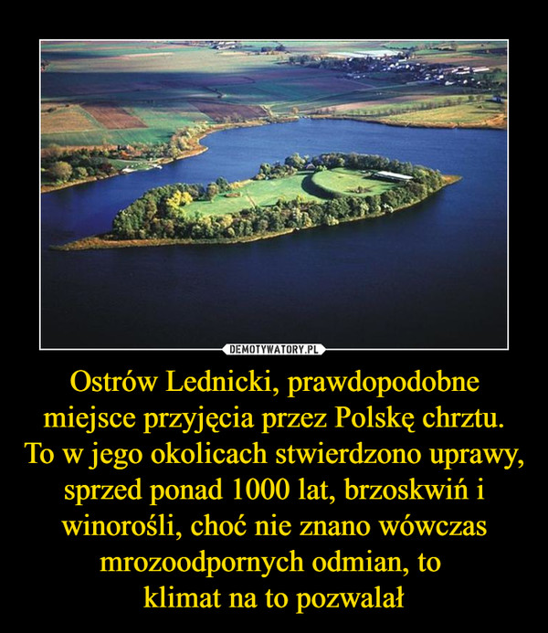 Ostrów Lednicki, prawdopodobne miejsce przyjęcia przez Polskę chrztu.To w jego okolicach stwierdzono uprawy, sprzed ponad 1000 lat, brzoskwiń i winorośli, choć nie znano wówczas mrozoodpornych odmian, to klimat na to pozwalał –  