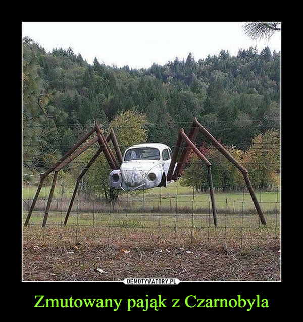 Zmutowany pająk z Czarnobyla