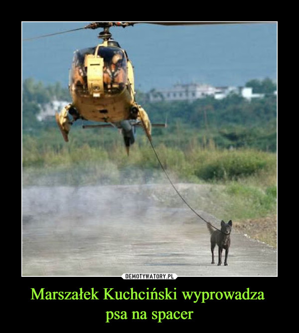Marszałek Kuchciński wyprowadza psa na spacer –  