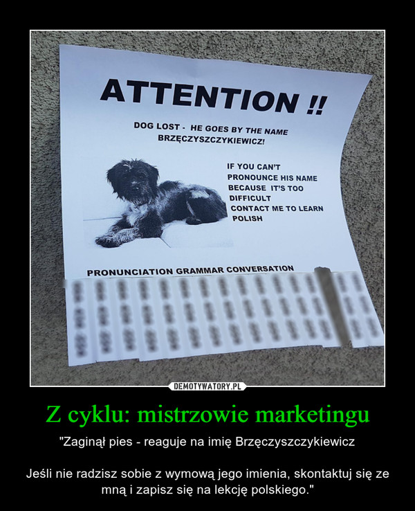 Z cyklu: mistrzowie marketingu – "Zaginął pies - reaguje na imię BrzęczyszczykiewiczJeśli nie radzisz sobie z wymową jego imienia, skontaktuj się ze mną i zapisz się na lekcję polskiego." 