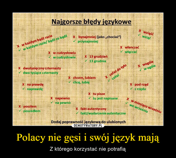 Polacy nie gęsi i swój język mają