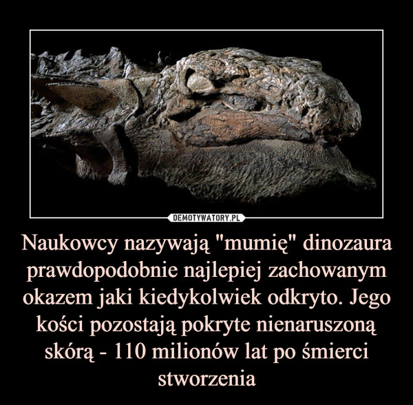 Naukowcy nazywają "mumię" dinozaura prawdopodobnie najlepiej zachowanym okazem jaki kiedykolwiek odkryto. Jego kości pozostają pokryte nienaruszoną skórą - 110 milionów lat po śmierci stworzenia