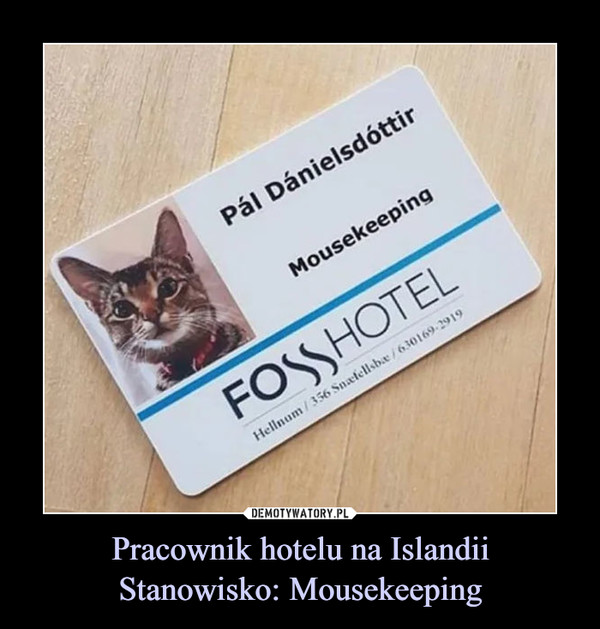 Pracownik hotelu na Islandii
Stanowisko: Mousekeeping
