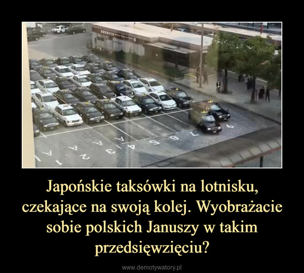 Japońskie taksówki na lotnisku, czekające na swoją kolej. Wyobrażacie sobie polskich Januszy w takim przedsięwzięciu? –  
