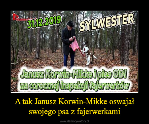 A tak Janusz Korwin-Mikke oswajał swojego psa z fajerwerkami –  