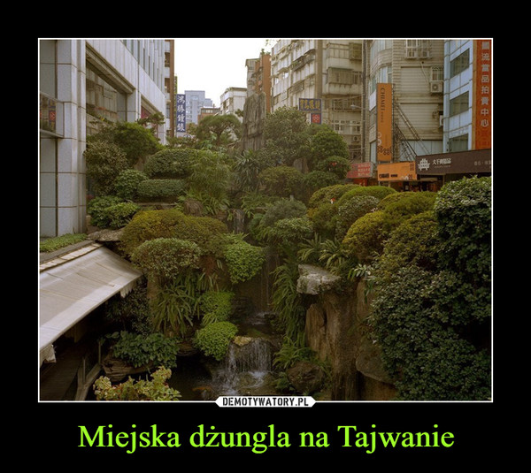 Miejska dżungla na Tajwanie –  