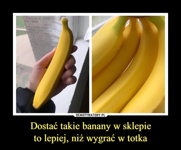 Dostać takie banany w sklepieto lepiej, niż wygrać w totka –  