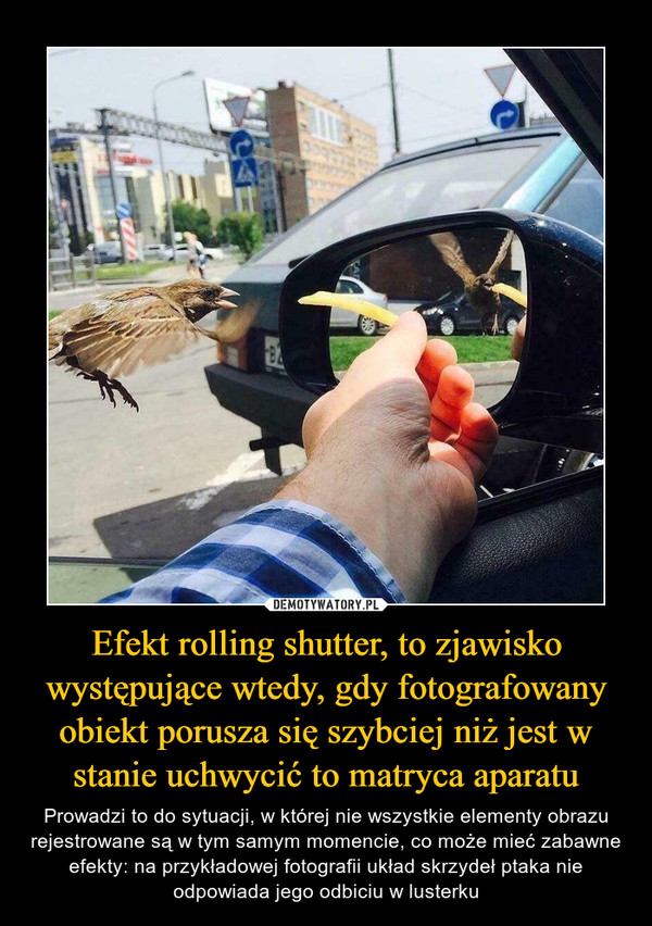 Efekt rolling shutter, to zjawisko występujące wtedy, gdy fotografowany obiekt porusza się szybciej niż jest w stanie uchwycić to matryca aparatu – Prowadzi to do sytuacji, w której nie wszystkie elementy obrazu rejestrowane są w tym samym momencie, co może mieć zabawne efekty: na przykładowej fotografii układ skrzydeł ptaka nie odpowiada jego odbiciu w lusterku 