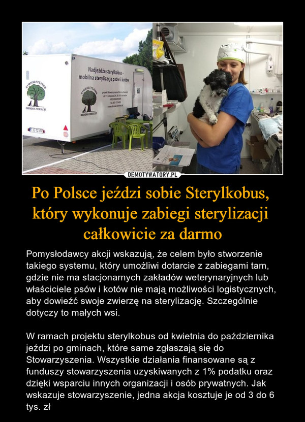Po Polsce jeździ sobie Sterylkobus, 
który wykonuje zabiegi sterylizacji 
całkowicie za darmo