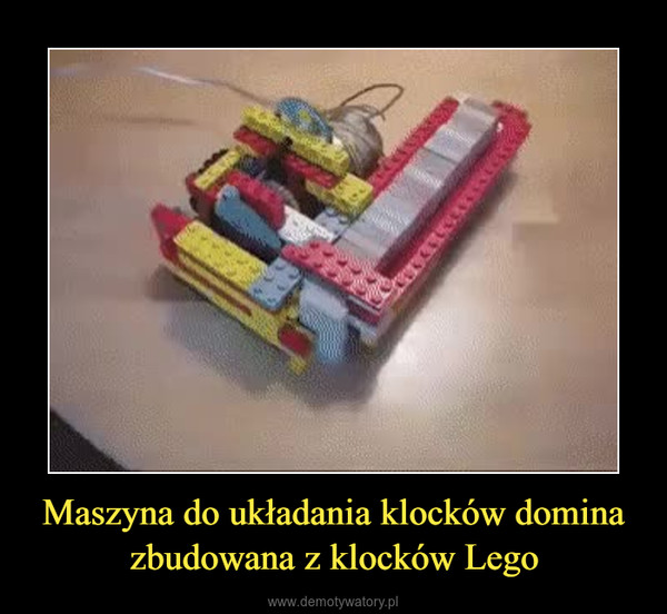 Maszyna do układania klocków domina zbudowana z klocków Lego –  