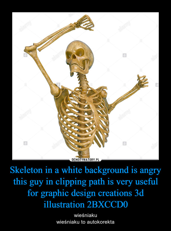 Skeleton in a white background is angry this guy in clipping path is very useful for graphic design creations 3d illustration 2BXCCD0 – wieśniakuwieśniaku to autokorekta 