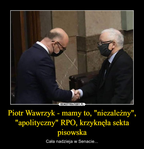 Piotr Wawrzyk - mamy to, "niezależny", "apolityczny" RPO, krzyknęła sekta pisowska